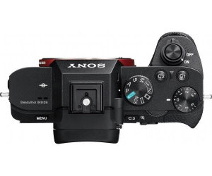 17464910244848-sony7iisel2470zmilc243mpcmos6000x4000pixelnero