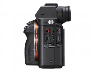 1746491024938-sony7iisel2470zmilc243mpcmos6000x4000pixelnero