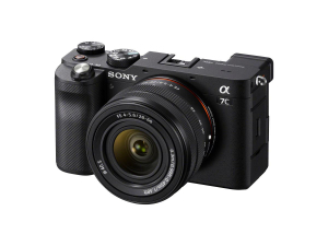 17464911175761-sony7cmilc242mpcmos6000x4000pixelnero