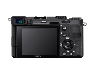 17464911191799-sony7cmilc242mpcmos6000x4000pixelnero