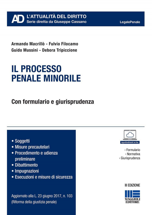 17277941249318-libroilprocessopenaleminorileeditoremaggiolieditoreanno2017