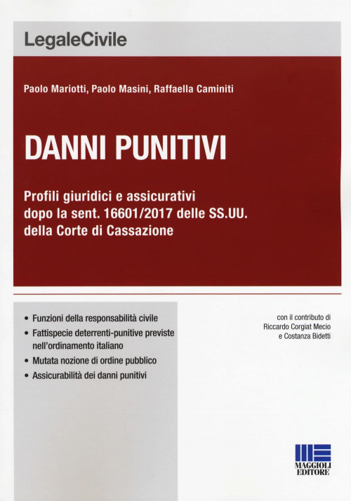 17277941704724-librodannipunitivieditoremaggiolieditoreanno2017