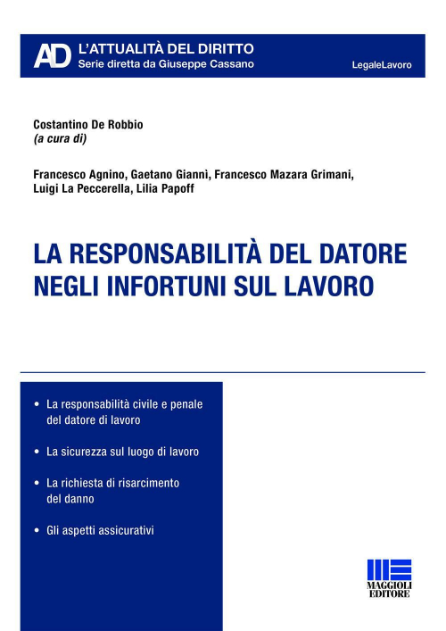 17277942511155-librolaresponsabilitadeldatorenegliinfortunisullavoroeditoremaggiolieditoreanno2019