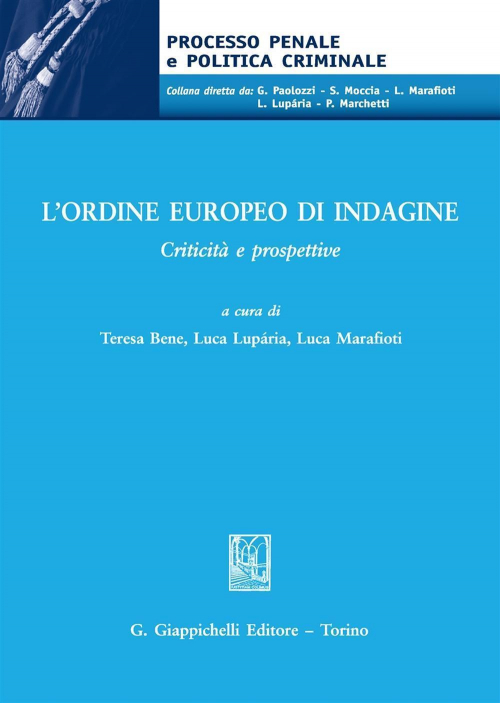 17277966734301-libroquestionifondamentalidellapartespecialedeldirittopenaleestrattoeditoregiappichellianno2017