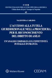 17277974370084-librolaccessoallatutelagiurisdizionalenellaproceduraperilriconoscimentodeldirittodiasiloeditorecedamanno2021