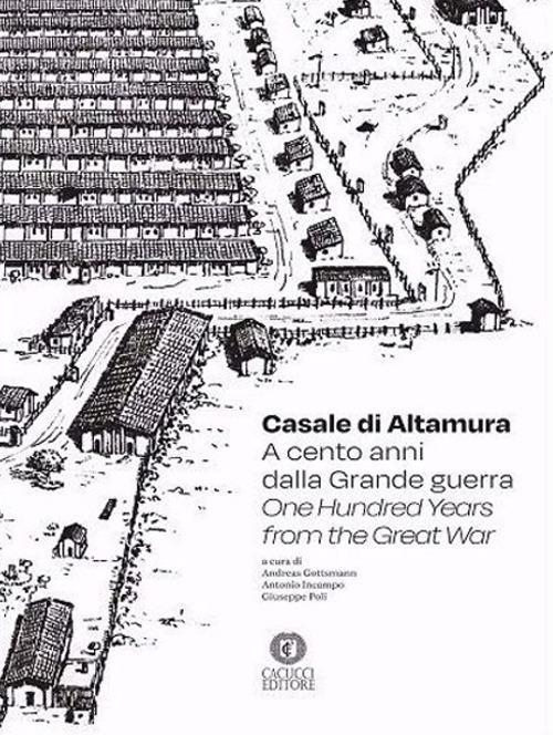 17278000107914-librocasaledialtamuraacentoannidallagrandeguerraonehundredyearsfromthegreatwareditorecacuccianno2021