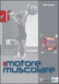 17278038545967-libroilmotoremuscolareeditorecalzettimariuccianno2010