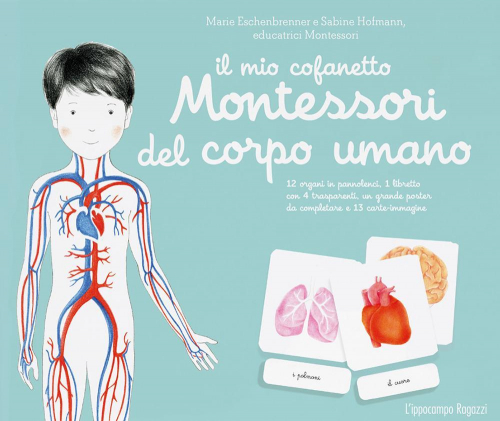 17278060794748-libroilmiocofanettomontessoridelcorpoumanoeditorelippocamporagazzianno2018