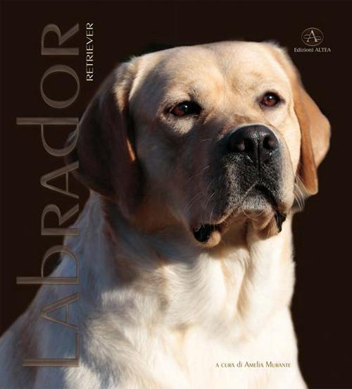17278196986729-librolabradorretrivermonografiafotograficaedizillustrataeditoreedizionialteaanno2019