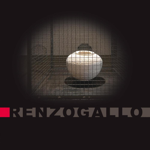 17278281154407-librorenzogalloeditoretimiaanno2017