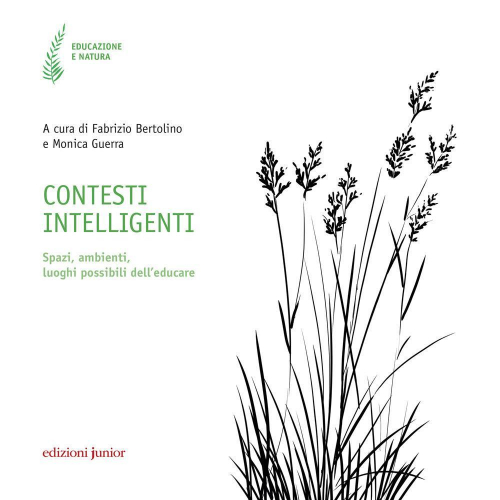 17278321214737-librocontestiintelligentispaziambientiluoghipossibilidelleducareeditorejunioranno2020