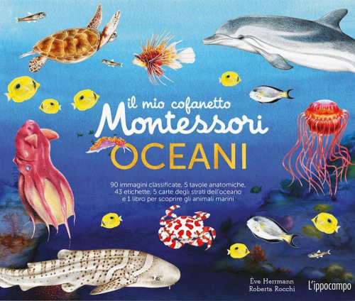 17278437792498-libroilmiocofanettomontessorideglioceaniedizacoloricon90cartedeglianimalicon5cartedeglistratidelloceanocon43etichettecon5tavoleanatomicheeditorelippocamporagazzianno2021