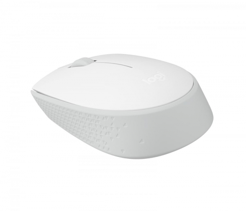 17425654713759-logitechm170