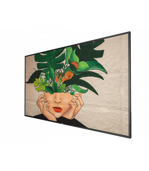 17425924913261-philips55bdl4511d00visualizzatoredimessaggipannelloadigitale1397cm55500cdm4kultrahdnero247