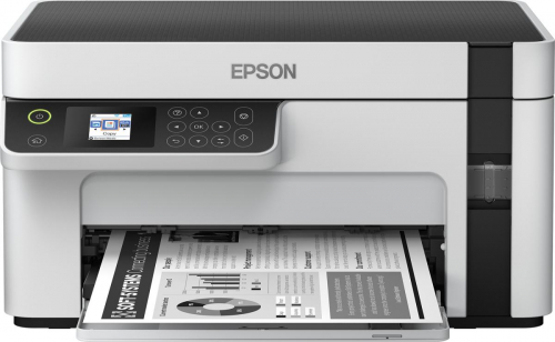 17426263385956-epsonecotanketm2120