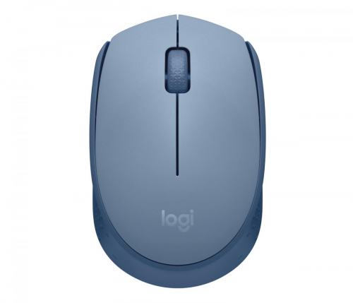 17428298198188-logitechm170