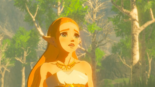 17428734070204-nintendothelegendofzeldabreathofthewildswitchstandardfrancesenintendoswitch