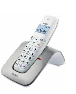 17429156241091-saietslidetelefonodectidentificatoredichiamataargentobianco