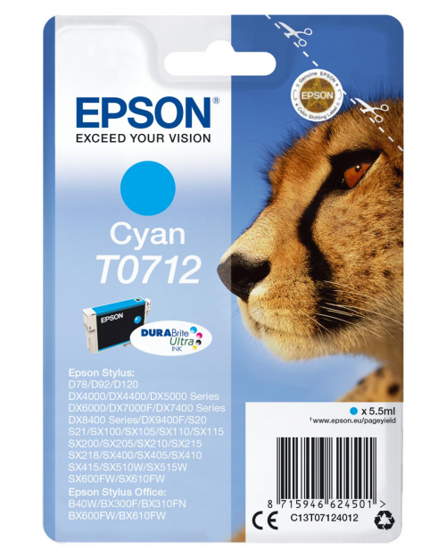 17429188025725-epsoncheetahcartucciaciano