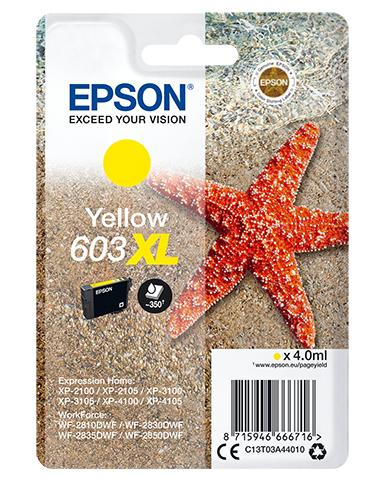 17429189249085-epsonsinglepackyellow603xlink