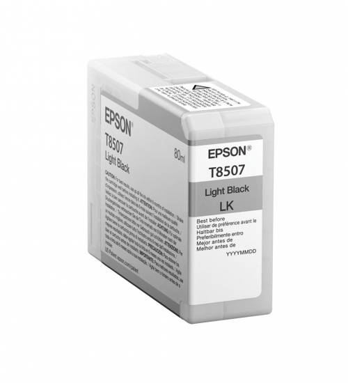17429191816058-epsonsinglepacklightblackt850700