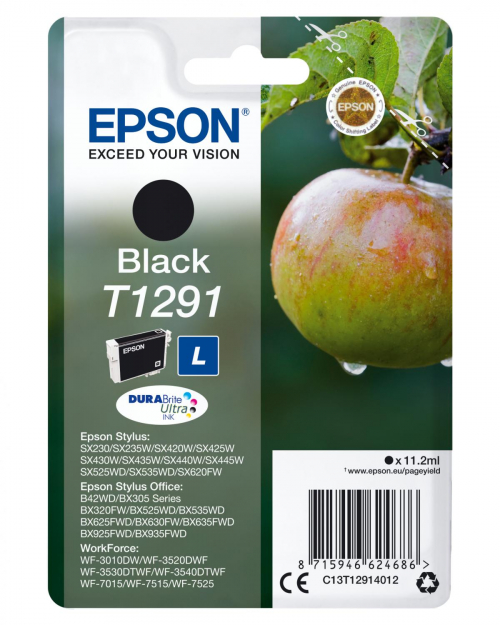 17429192720884-epsonapplecartuccianero