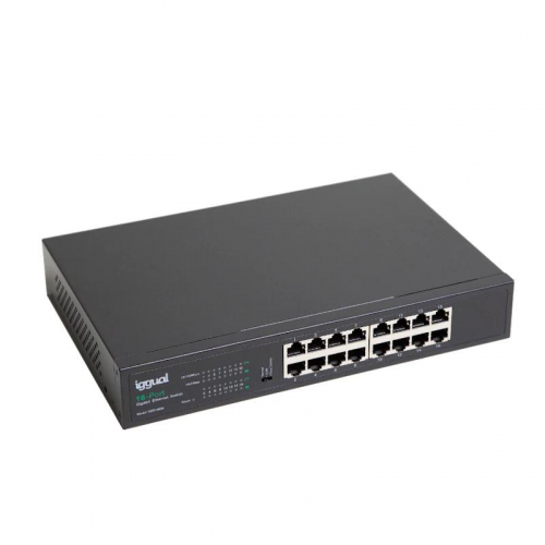 17429661773353-iggualges16000nongestitogigabitethernet101001000blu