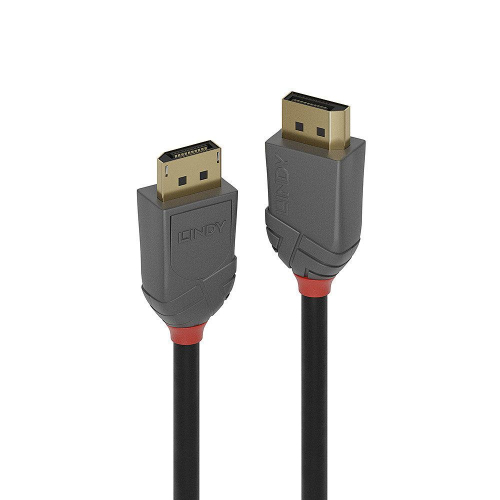 17430240290677-lindy36487cavodisplayport15mnero