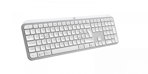 17430507733933-logitechmxkeyss