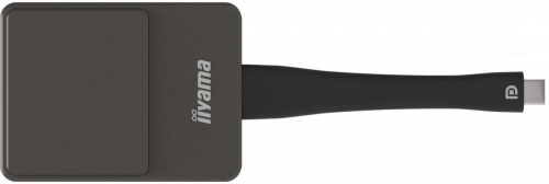 17434031170136-iiyamawpd002cdonglesmarttvusb4kultrahdneroargento