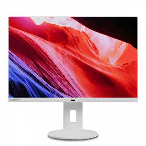 1743480530792-lenovoc24d20leddisplay61cm241920x1200pixelfullhdgrigiobianco