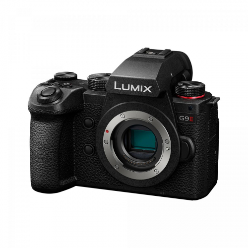 17435813011521-panasoniclumixg9iicorpomilc2521mplivemos11552x8672pixelnero