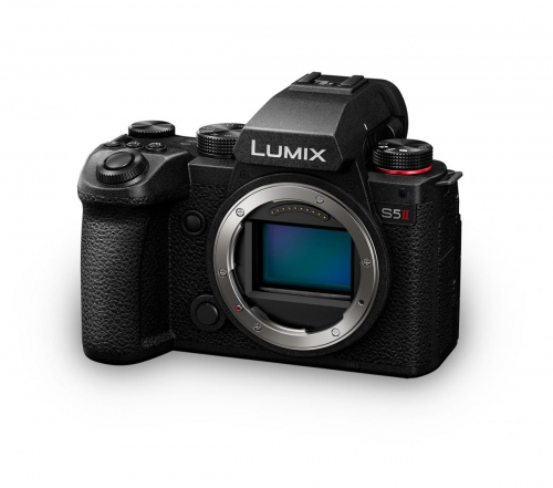 17435818852792-panasoniclumixs5iicorpomilc242mpcmos12000x8000pixelnero