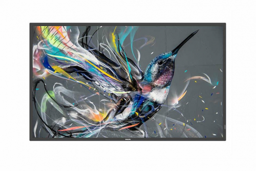 17435896104413-philips50bdl3650qe00visualizzatoredimessaggipannellopiattopersegnaleticadigitale1257cm495wifi350cdm4kultrahdneroprocessoreintegratoandroid10