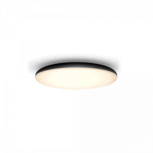 17435913649041-philipshuewhiteambiancecherplafonierasmartneradimmerswitch