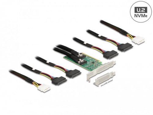 1743877254105-delockschedapciexpress40x16a4xsff8639nvmebiforcazionefattorediformaabassoprofilo