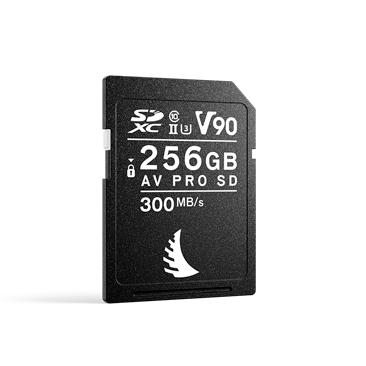 1743934821367-angelbirdtechnologiesavprosdmk2v90256gbsdxcuhsii