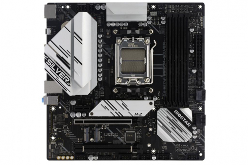 1743963482494-biostarb650msilverschedamadreamdb650socketam5microatx