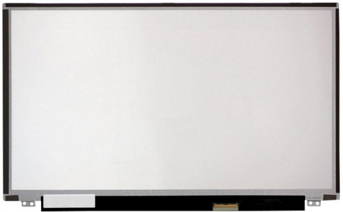 17440060020449-corepartsmsc156f40095mricambioperlaptopdisplay