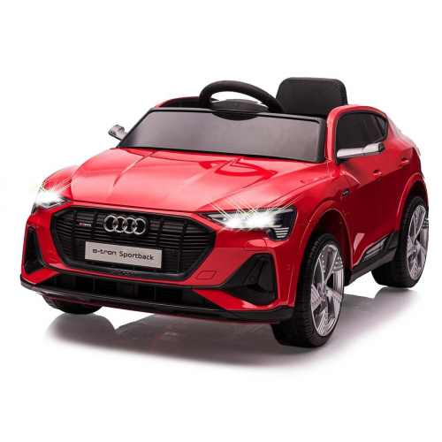 17441382558014-jamaraaudietronautocavalcabile