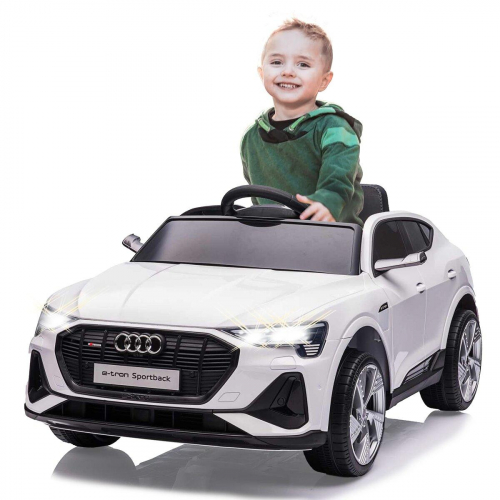 1744138269689-jamaraaudietronsportbackautocavalcabile