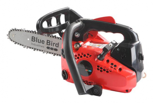 17441724962642-bluebirdcs250700wnerorosso