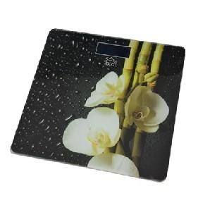 17443015217543-dcgeltronicpw3190bilancepesapersonenerobilanciapesapersoneelettronica