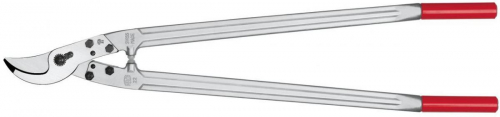 1744425264111-felco22troncaramibipasso