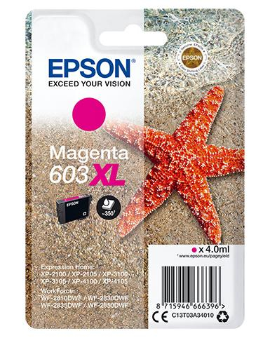 17446008208654-epsonsinglepackmagenta603xlink
