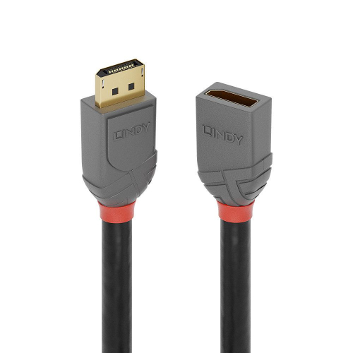 17446036868963-lindy36498cavodisplayport3mnero