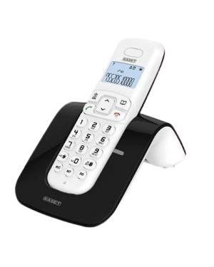 17446111413161-saietslidetelefonodectidentificatoredichiamatanerobianco