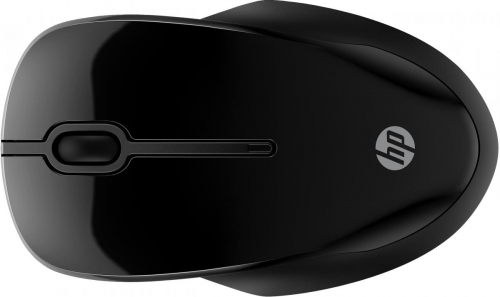 17446360758643-hp250dualmouse