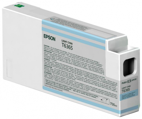 17446479372725-epsontanicacianochiaro