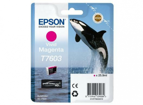 17446496843491-epsonc13t76034n10cartucciadinchiostro1pzoriginalemagentavivido